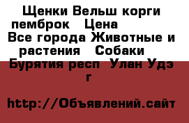 Щенки Вельш корги пемброк › Цена ­ 35 000 - Все города Животные и растения » Собаки   . Бурятия респ.,Улан-Удэ г.